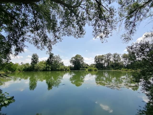 Biotopsee - Image 1