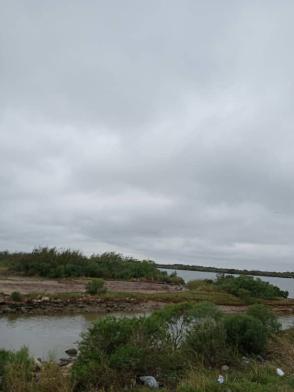 Peppermint park - Image 3