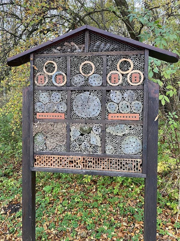 Mini ścieżka edukacyjna- przyrodnicza - Image 1