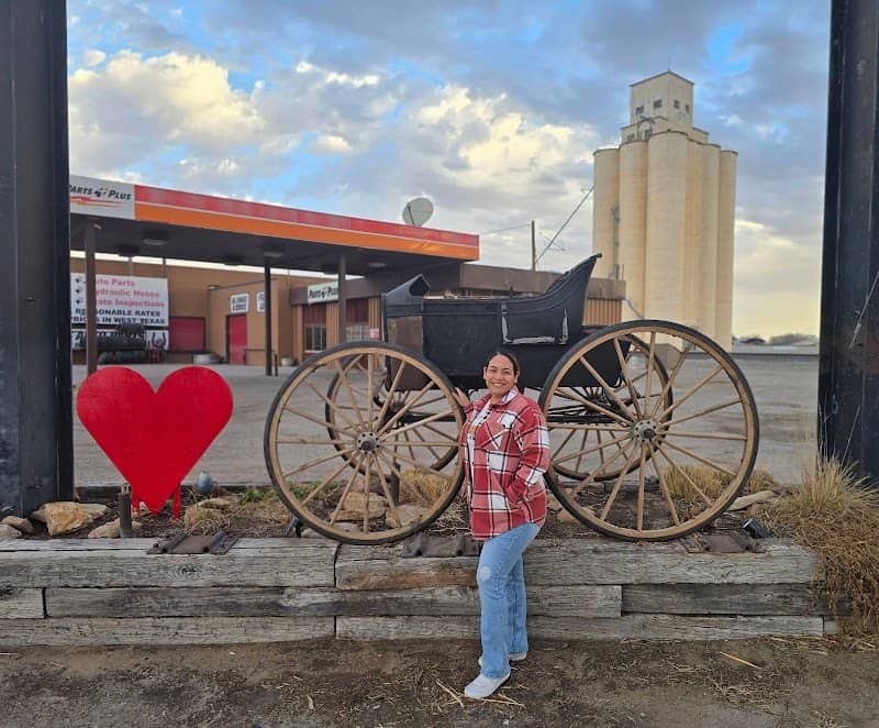 Muleshoe Carriage - Image 1