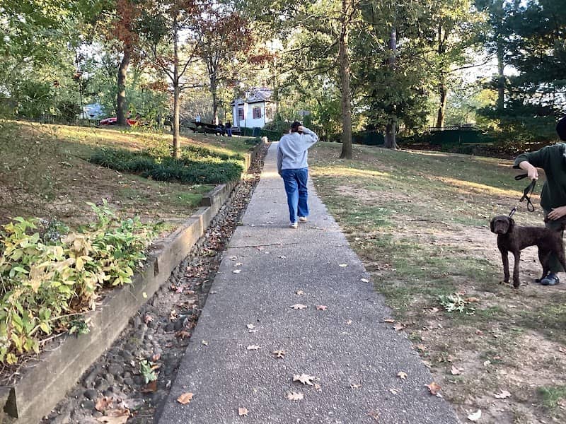 Central Park - Image 5