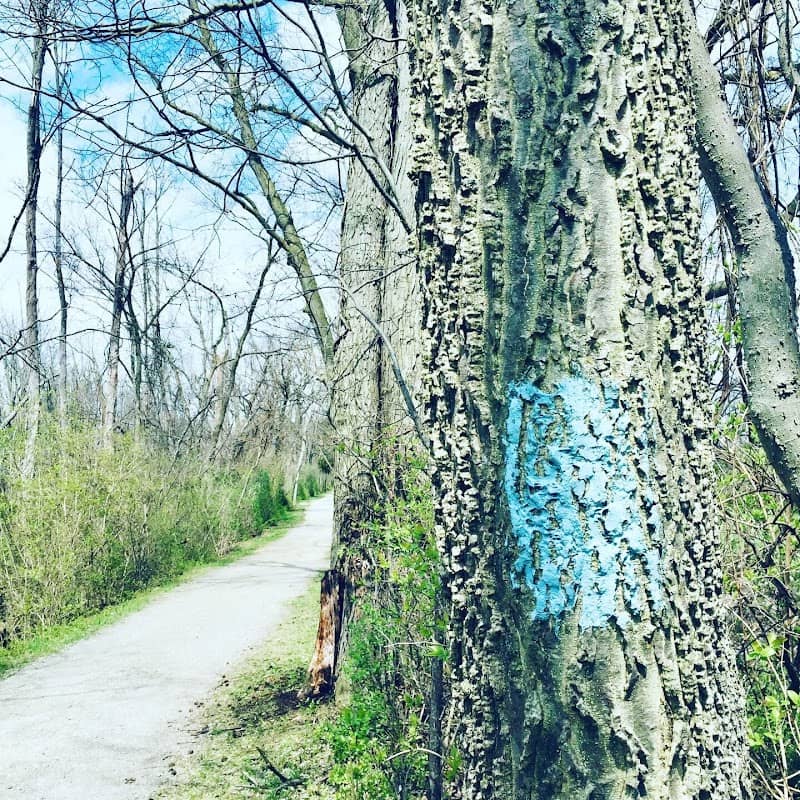 Meyerholtz Park - Image 2