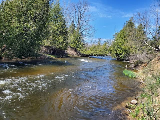 Oleson Bridge Trailhead - Image 2