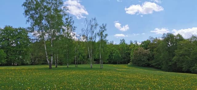 Fontäne im Stadtpark - Image 2
