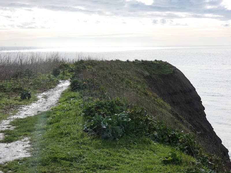 Clavell Tower - Image 3