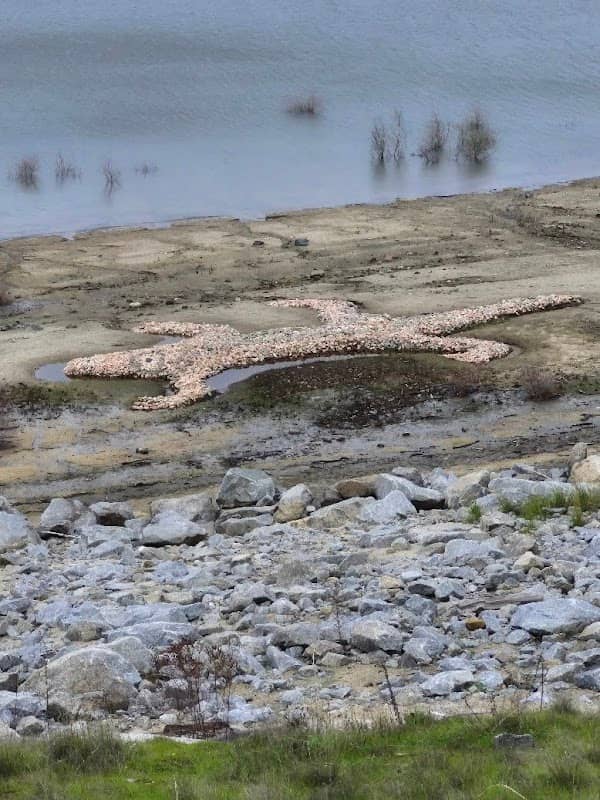 Folsom Lake Rock-o-dile - Image 1