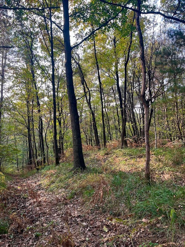 Bòcca di Vall - Image 1