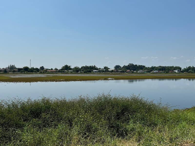 Nong Bueng Kan Public Park - Image 1