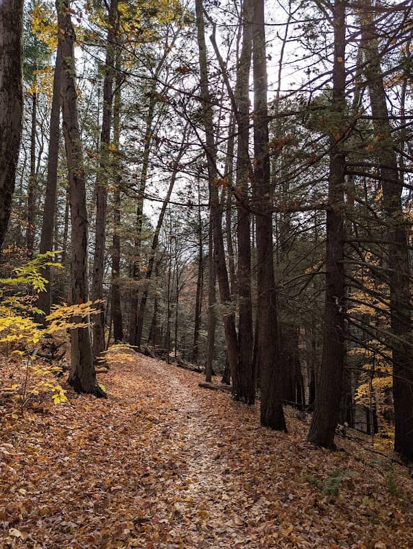 Thayer Preserve Lick Brook - Image 3