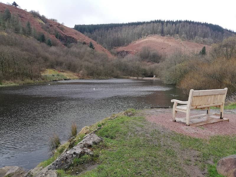 Clydach Vale Country Park - Image 1