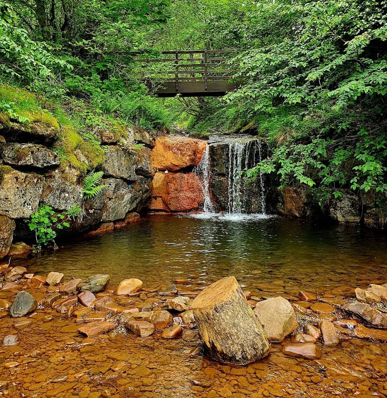 Clydach Vale Country Park - Image 2