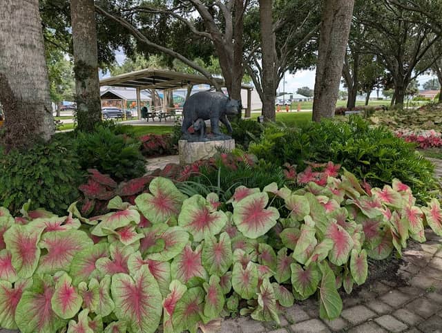 Stuart Park - Image 1