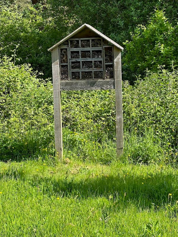 Headley Down Nature Reserve - Image 1