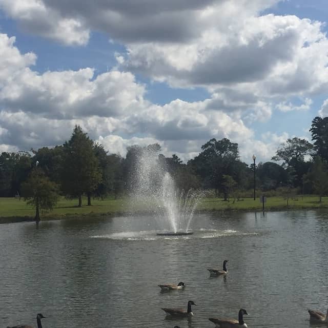 North Park - Image 2