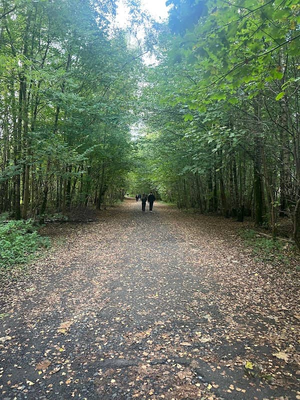 Whinny hill wood - Image 1