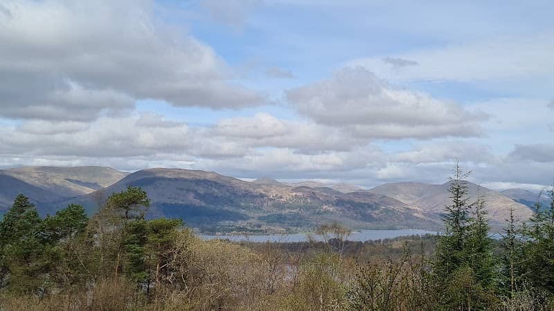 Whinny hill wood - Image 2