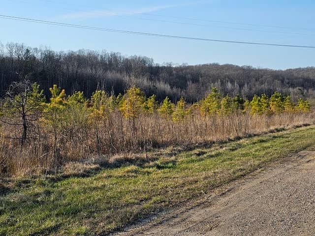 AEP Poston Plant Lands - Image 2