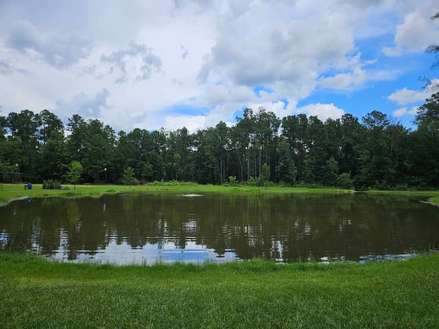 E.O. Wilson Nature Adventure - Image 2