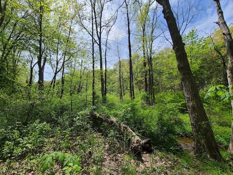 Fort Hill Stairs - Image 2
