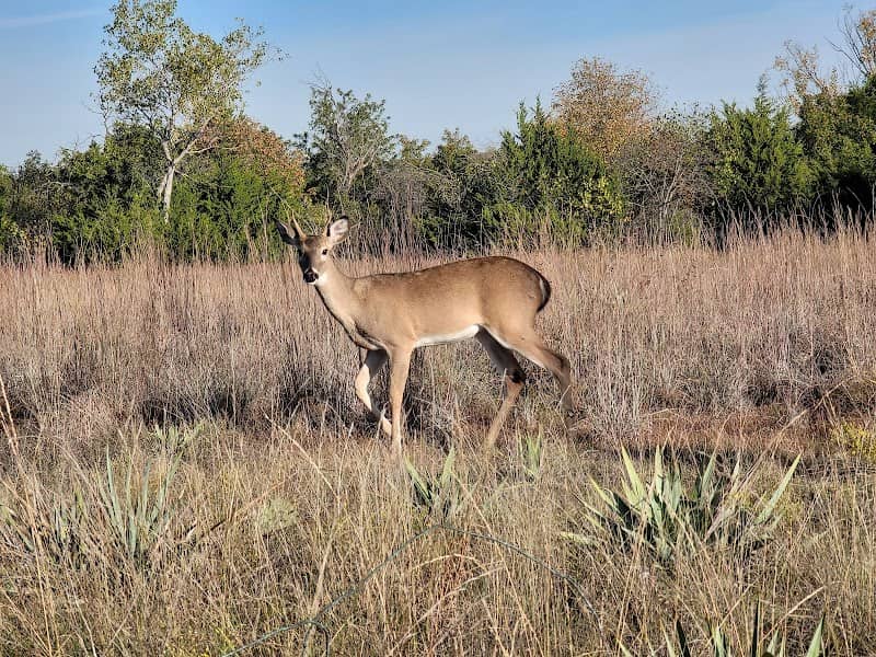 Quanah Hill Bike Trail - Image 1