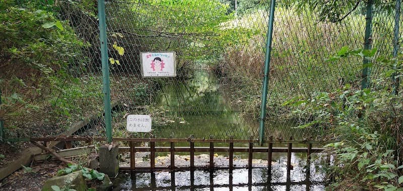 引地川源流 - Image 1
