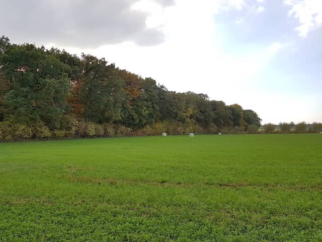 Geitelder Holz - Image 2