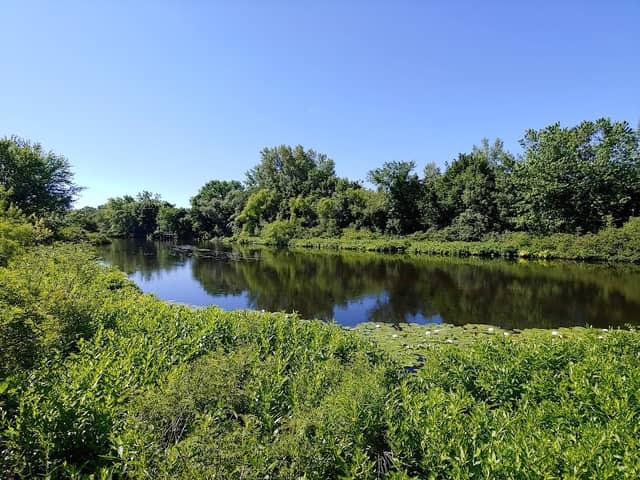 How Park - Image 1