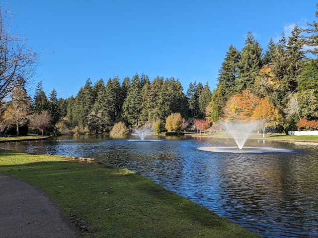 Mingus Park - Image 2