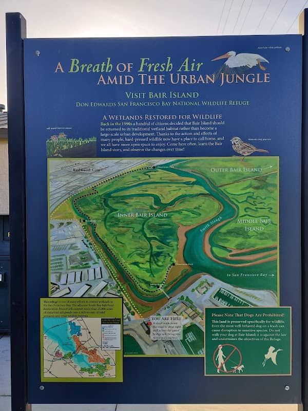 Bair Island Wildlife Refuge & Trail - Image 3