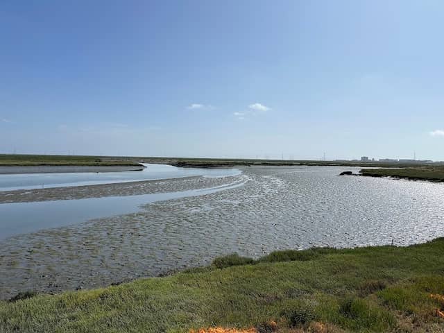 Bair Island Wildlife Refuge & Trail - Image 1