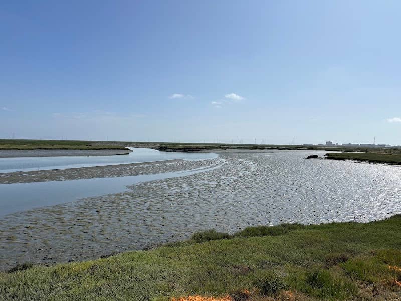 Bair Island Wildlife Refuge & Trail - Image 1