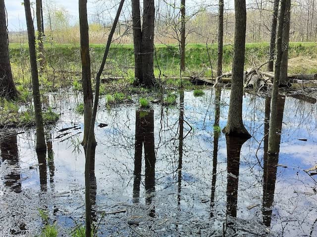 Shirley Heinze Land Trust St. Francis Nature Preserve - Image 2