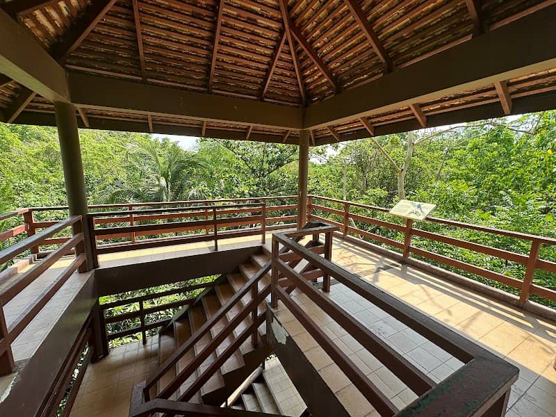 Bird Watching Tower at Si Nakhon Khuean Khan Park - Image 3