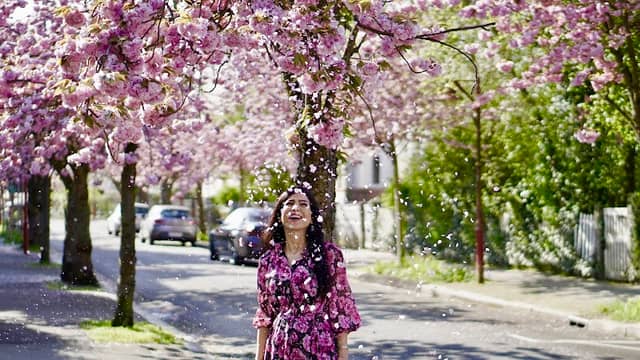 Pink Street Marburg - Image 1