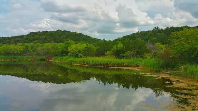 Cedar Mountain - Dallas County Nature Preserve - Image 2