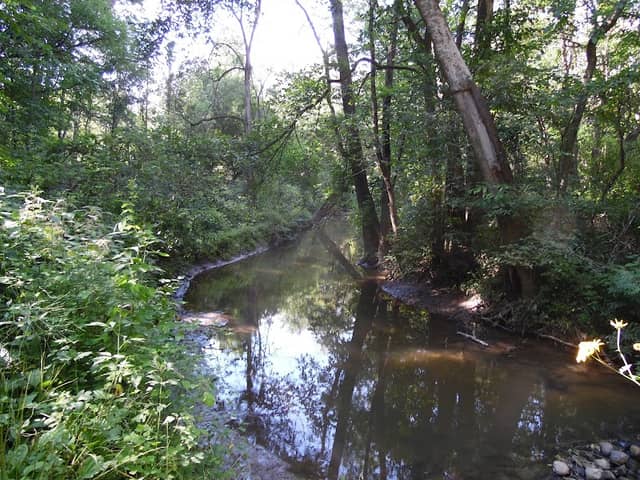 Creek Ridge County Park - Image 3