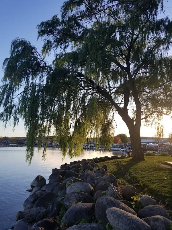 Telyea Park - Image 1
