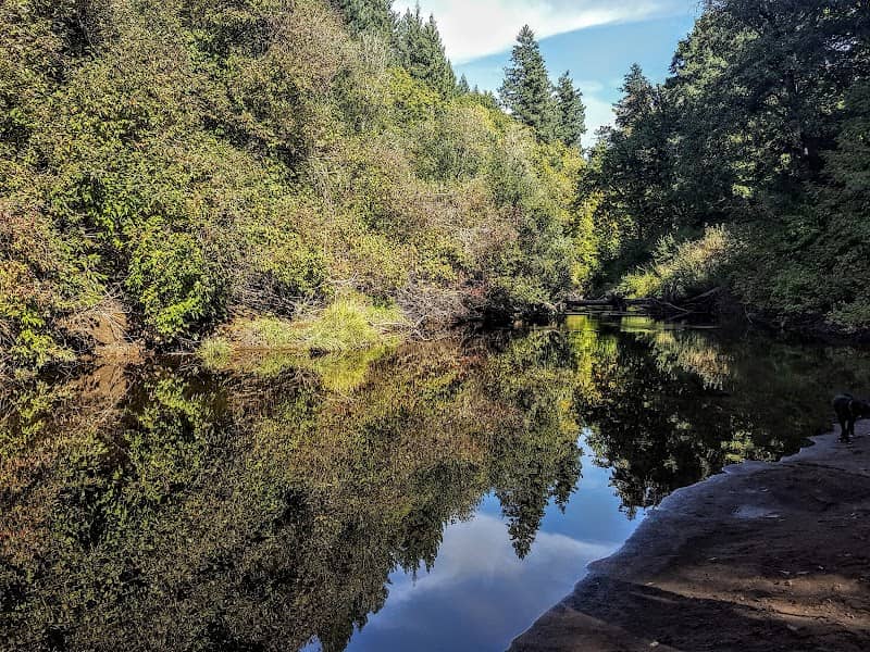 Sarah Helmick State Recreation Site - Image 1