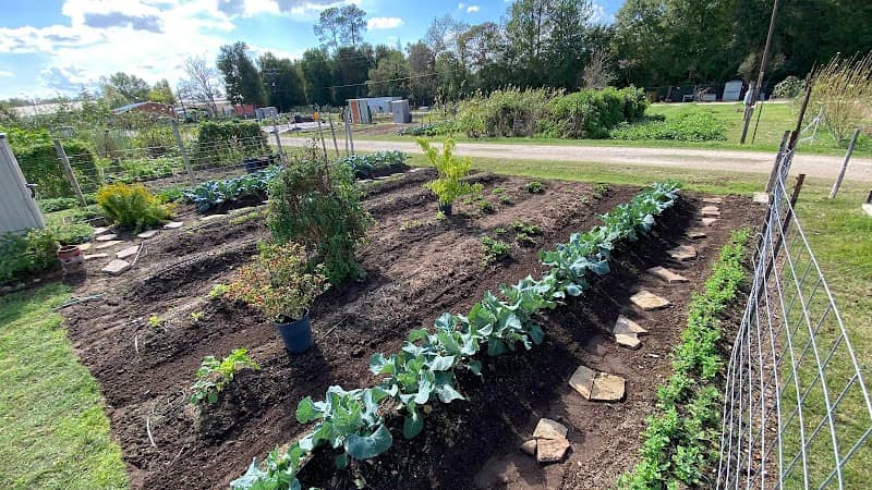 Montgomery Senior Garden - Image 2