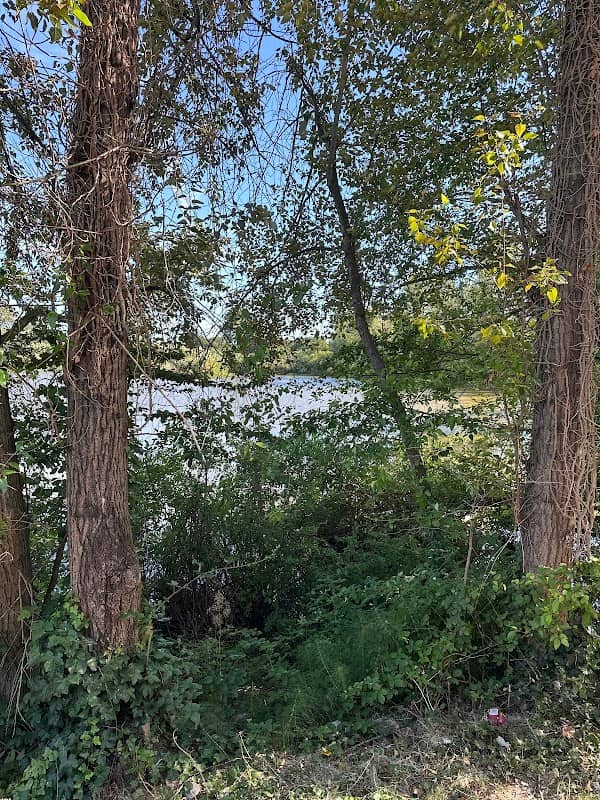 Hidden pond - Image 1