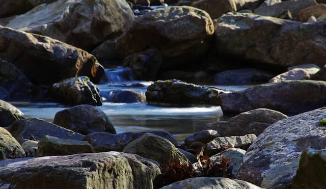 Dry Creek Wilderness - Image 1