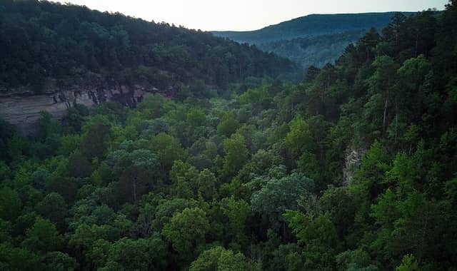 Dry Creek Wilderness - Image 2