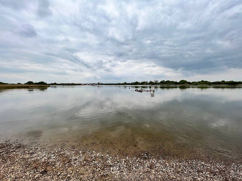 Saltings - Image 1