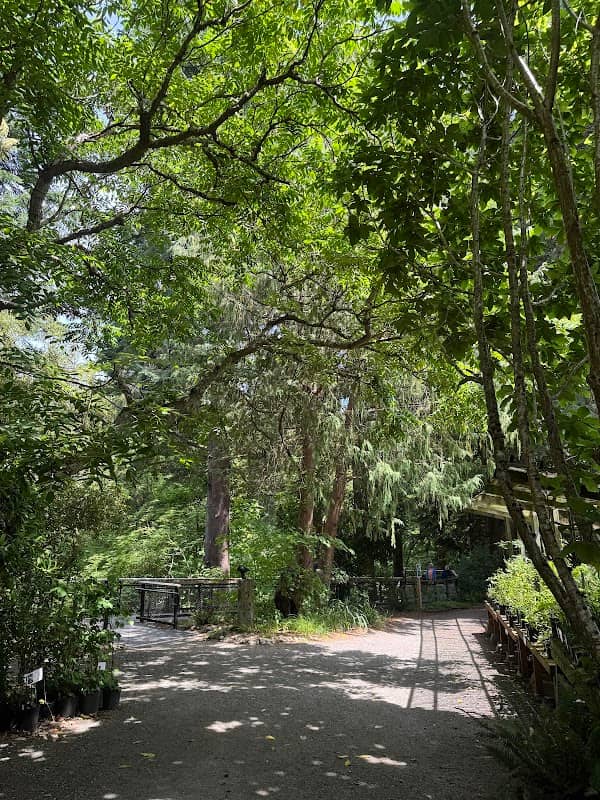 Kruckeberg Botanic Garden - Image 2