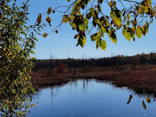 Onondaga Trail - Image 1