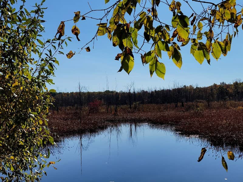 Onondaga Trail - Image 1