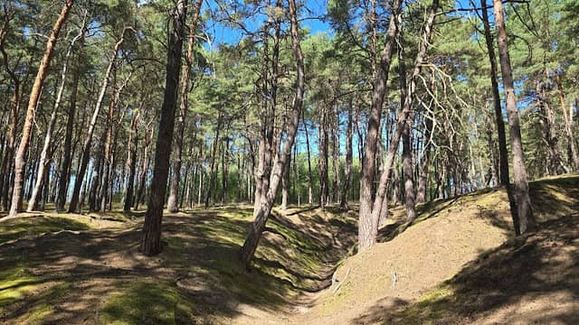 Naturpark Nuthe-Nieplitz - Image 1