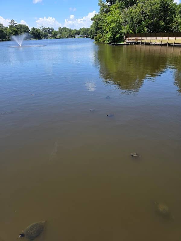 Dogwood Lake Observation Deck - Image 2