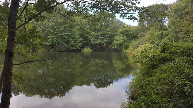 Hinckley Park - Image 2