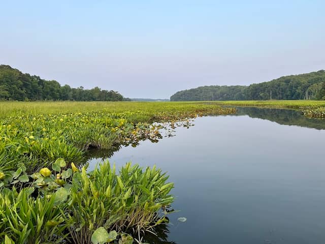 Crow's Nest Natural Area Preserve - Image 2